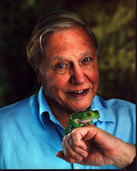 David Attenborough holding a frog on his hand photo print