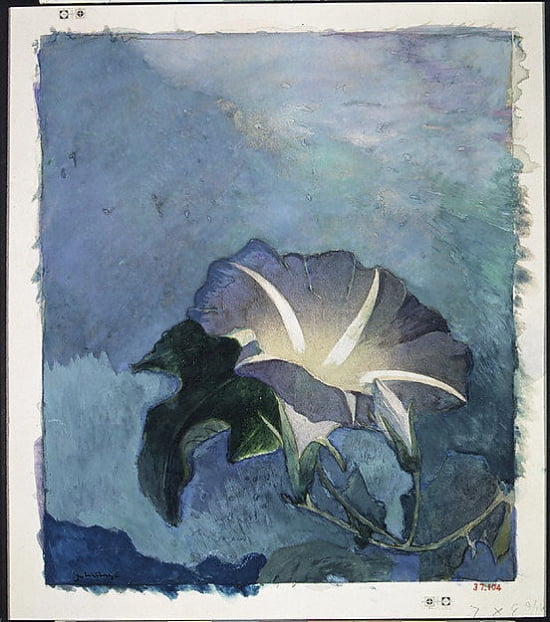 Nocturne Poster Print by John La Farge, 8x10 inches.