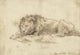 Reclining Lion Fine Art Print by Rembrandt Van Rijn, showcasing intricate pen and ink details.