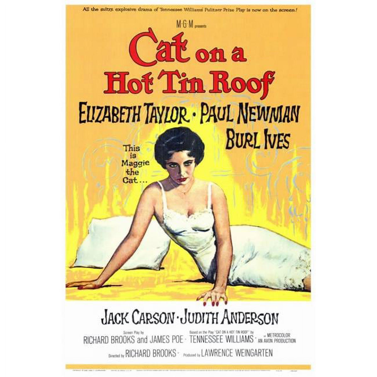 Cat on a Hot Tin Roof Movie Poster Print 27x40