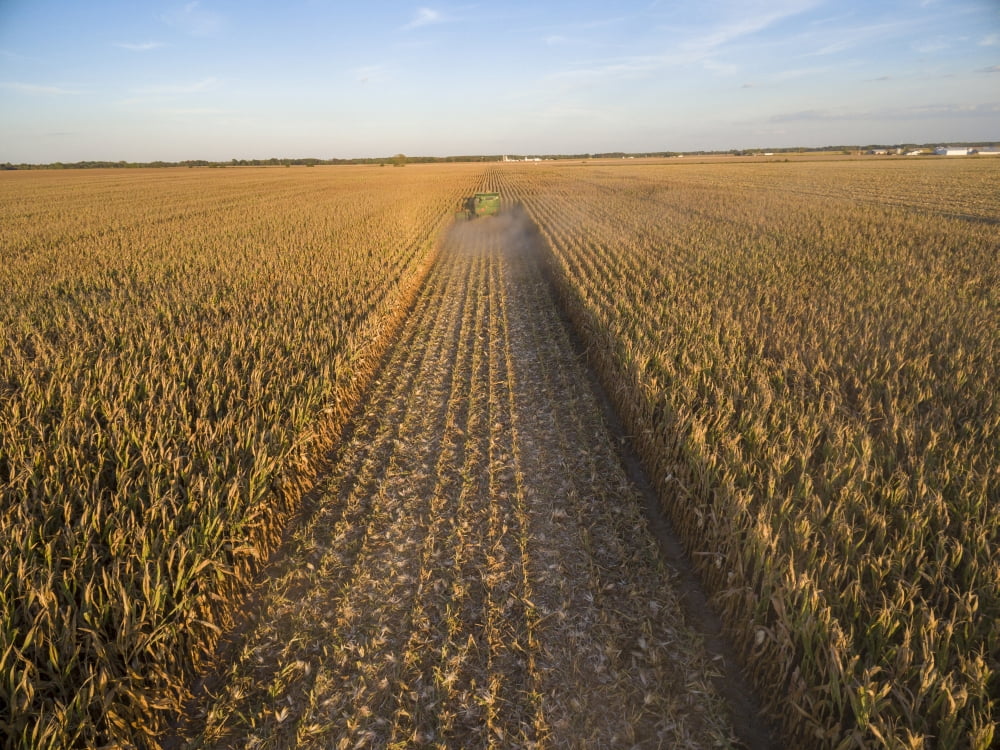 John Deere combine harvesting corn in Marion County, Illinois photo print