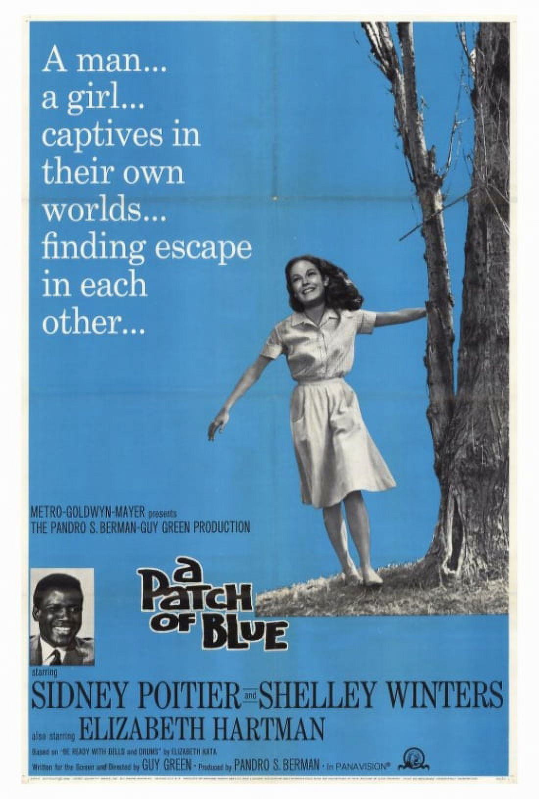 A Patch of Blue Movie Poster Print 27x40