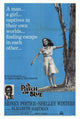 A Patch of Blue Movie Poster Print 27x40