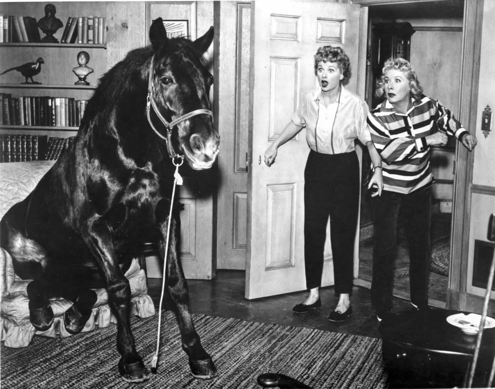 Lucille Ball and Vivien Leigh photo print featuring a horse.