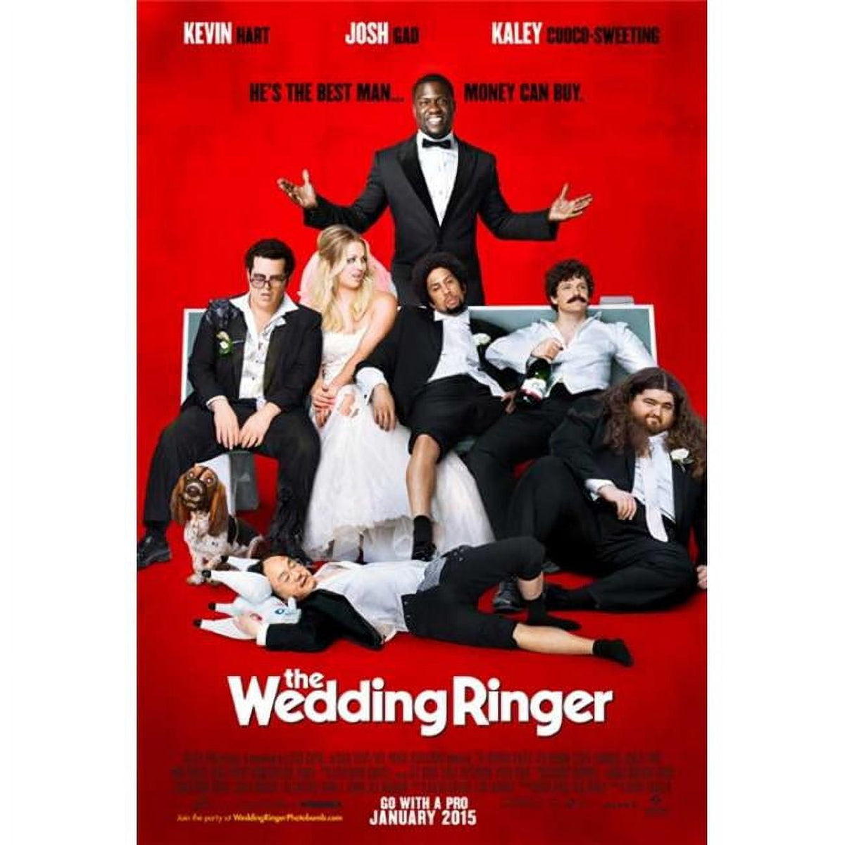 The Wedding Ringer Movie Poster Print 27x40 - vibrant comedy art.