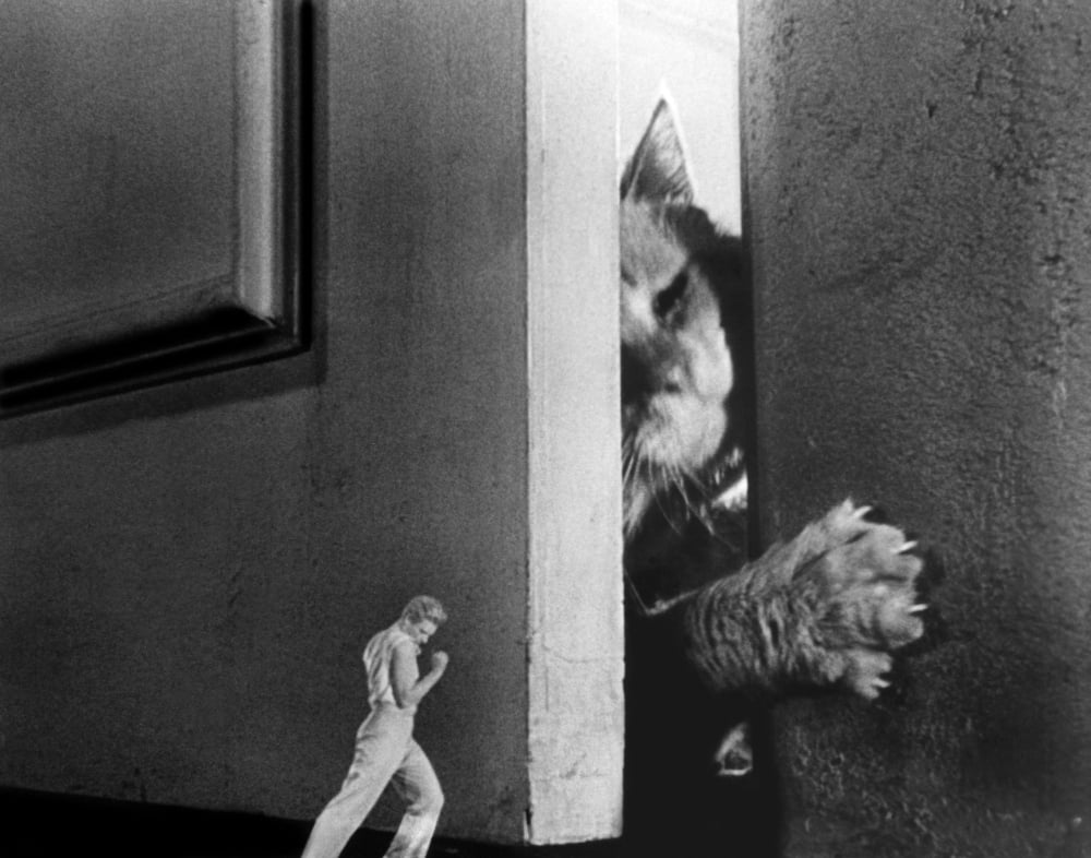 The Incredible Shrinking Man 1957 movie photo print