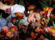 The Wizard of Oz photo print showcasing the magical land of Oz.