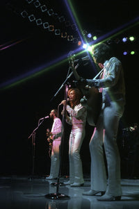 Bee Gees live performance photo print 8x10