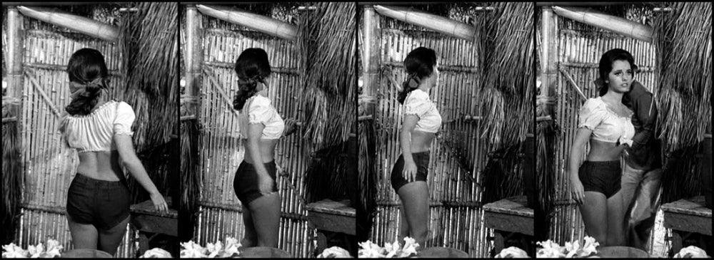 Dawn Wells 4 Split Image Photo Print showcasing classic television moments.