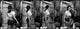 Dawn Wells 4 Split Image Photo Print showcasing classic television moments.