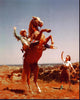 Roy Rogers Riding Trigger Photo Print - Vintage Western Image