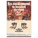 Flight of the Phoenix movie poster print 27x40