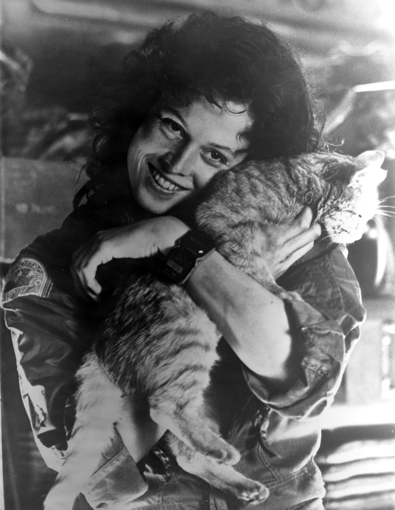 Classic photo print of Sigourney Weaver carrying a cat.