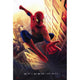 Spider-Man Movie Poster 11x17 print featuring iconic superhero design.