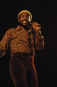 Marvin Gaye performing live on stage photo print