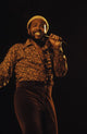 Marvin Gaye performing live on stage photo print