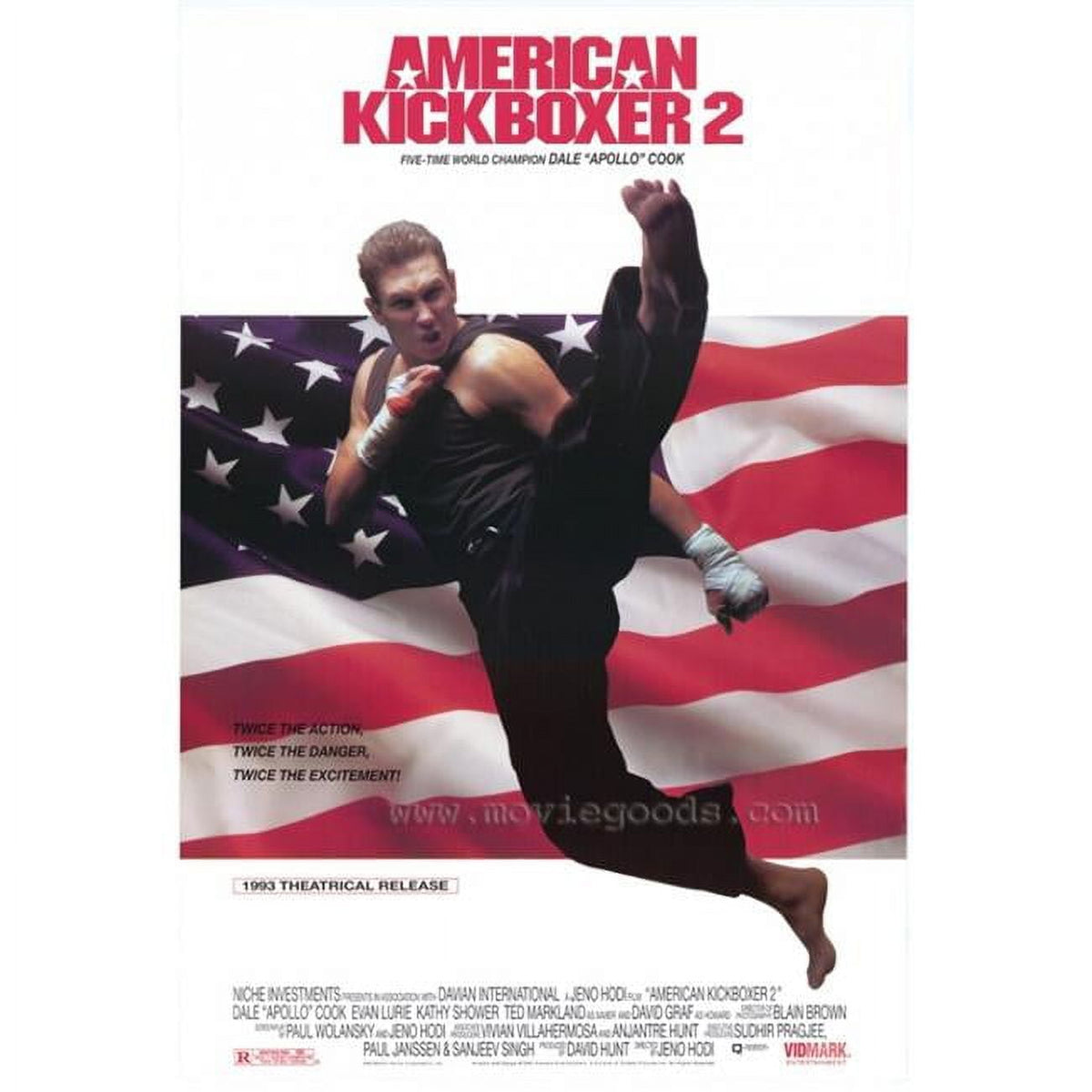 American Kickboxer 2 Movie Poster Print 27x40