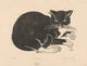 Kat poster print by Henri van der Stok featuring elegant feline art