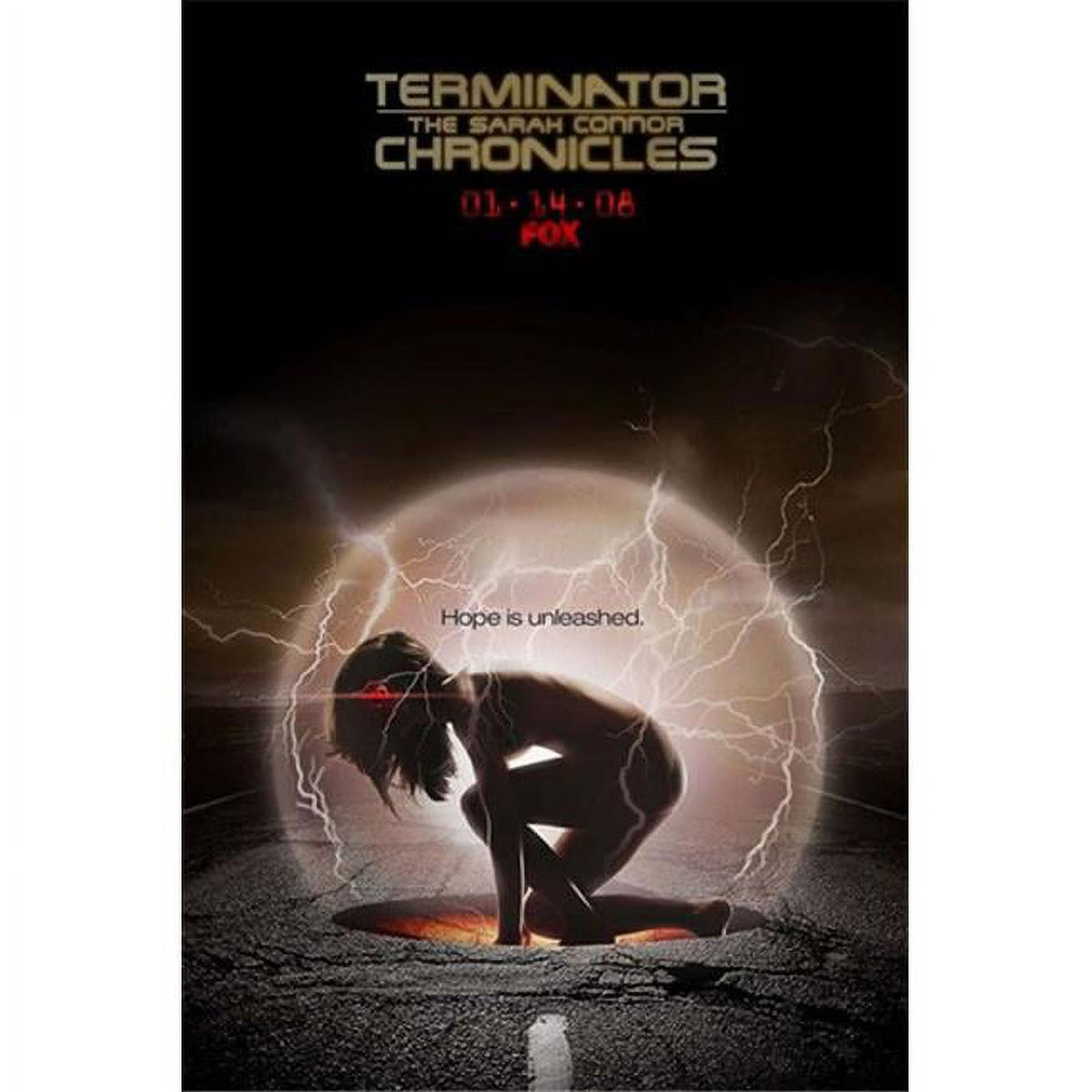Terminator The Sarah Connor Chronicles AV Style Movie Poster 11x17