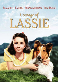 Courage of Lassie movie poster 11x17 print