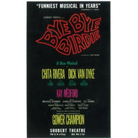 Bye Bye Birdie Broadway Movie Poster 11x17