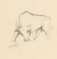 Young Bull poster print by Mikuláš Galanda - art print available in multiple sizes.