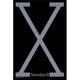 Malcolm X Movie Poster 11x17 Print
