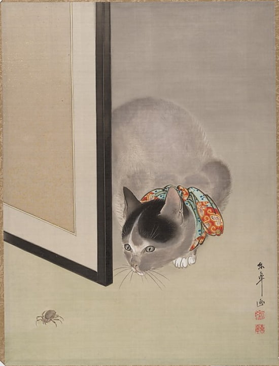 Cat Watching a Spider Poster Print by Oide Toko in 8x10 size