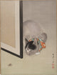 Cat Watching a Spider Poster Print by Oide Toko in 8x10 size