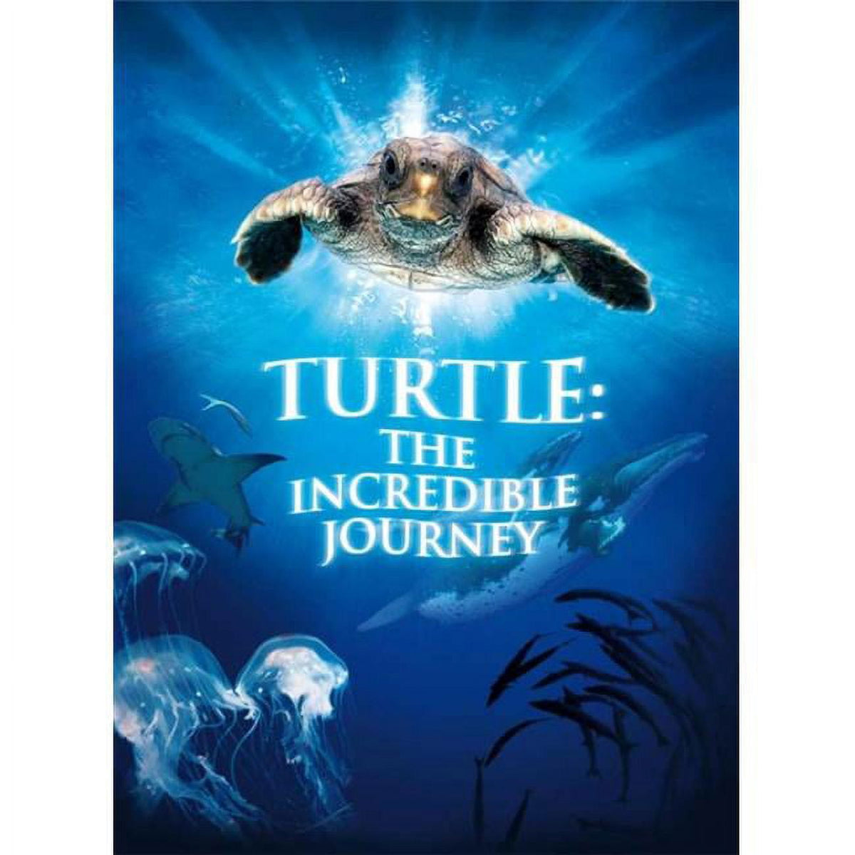 Turtle: The Incredible Journey Movie Poster Print 27x40