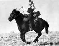 Gene Wilder riding a horse film still photo print