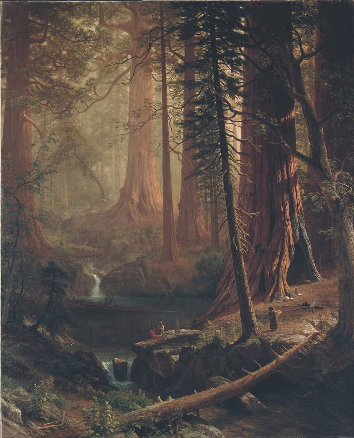Giant Redwood Trees of California fine art print by Albert Bierstadt