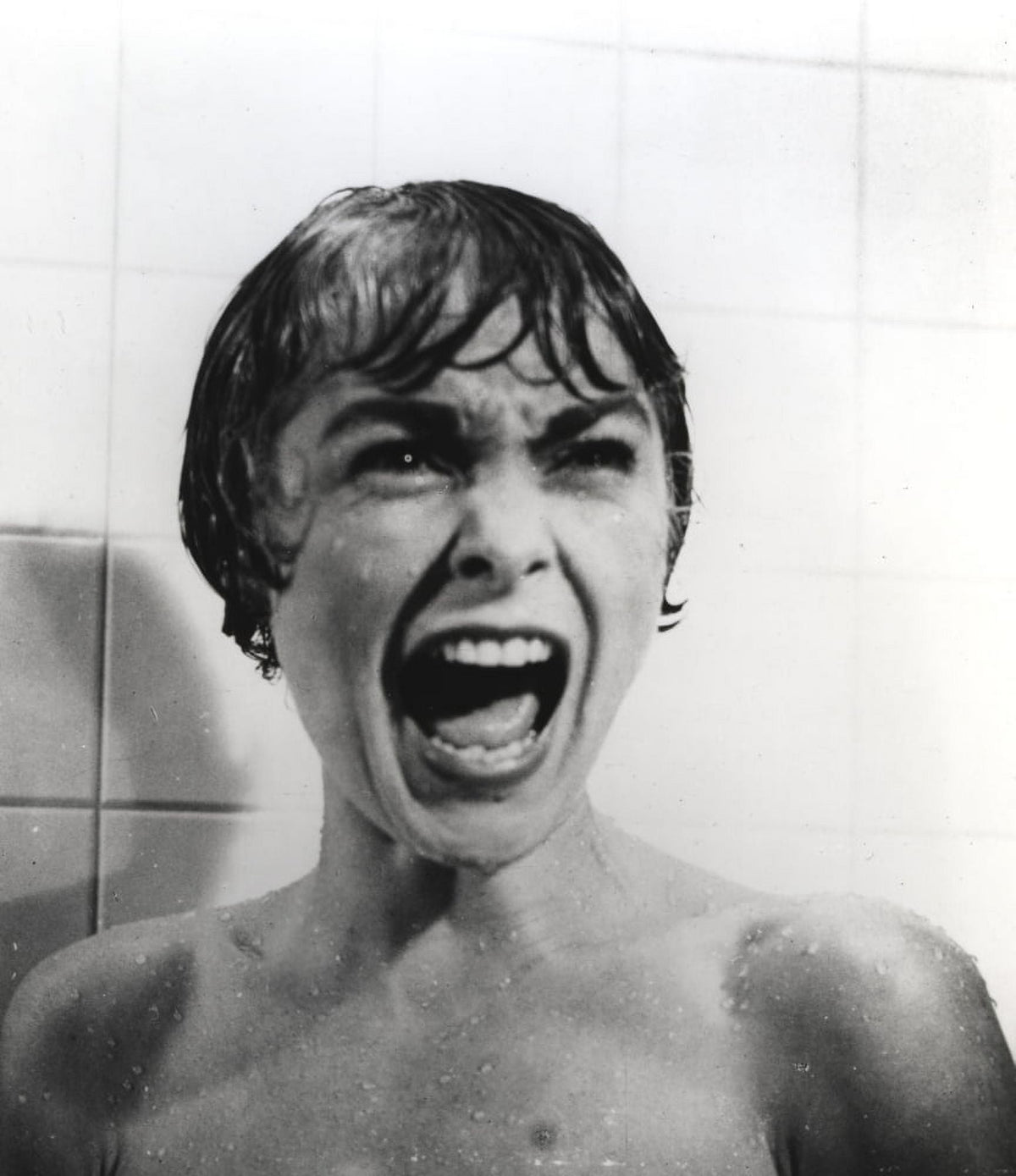 Janet Leigh shower scene photo print from Psycho movie.