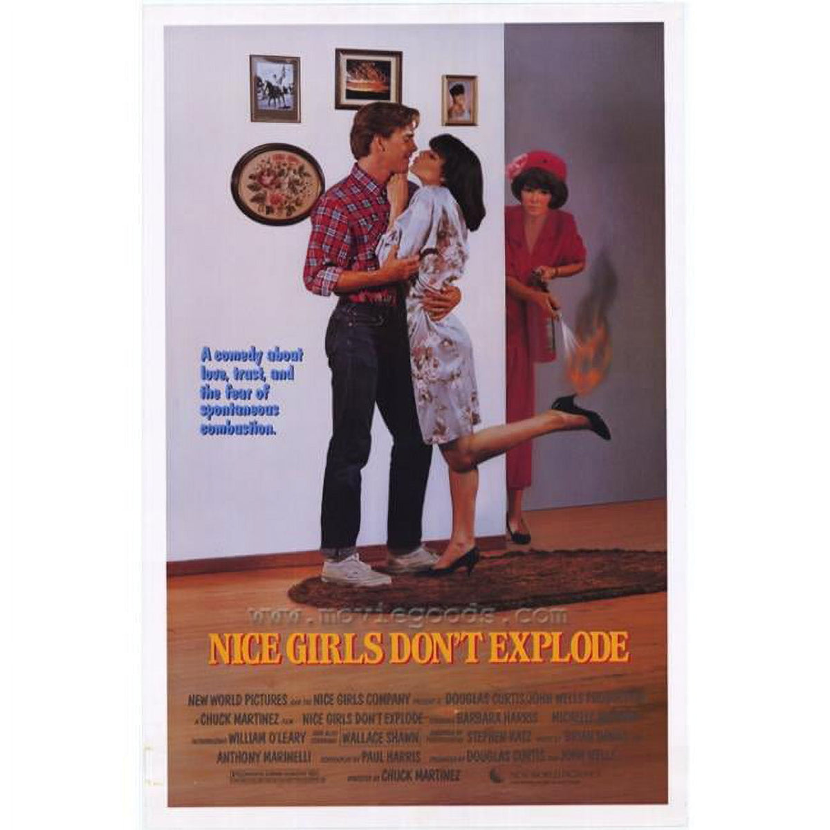Nice Girls Don't Explode Movie Poster Print 27x40