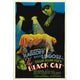 The Black Cat 1934 movie poster featuring Boris Karloff and Bela Lugosi