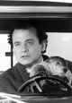 Bill Murray driving a car with a beaver photo print.