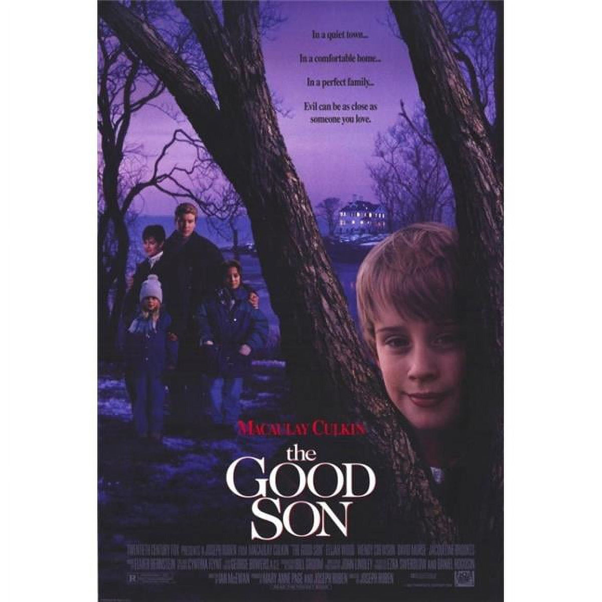 The Good Son Movie Poster Print 27x40 featuring iconic film imagery.
