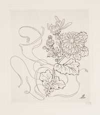 Assiette (Reine-Marguerite) Poster Print by Félix Bracquemond, 18 x 24 inches.