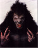 Gary Oldman as Wolf in Bram Stoker's Dracula photo print