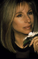 Barbra Streisand photo print with flower, 8x10 or 16x20 sizes