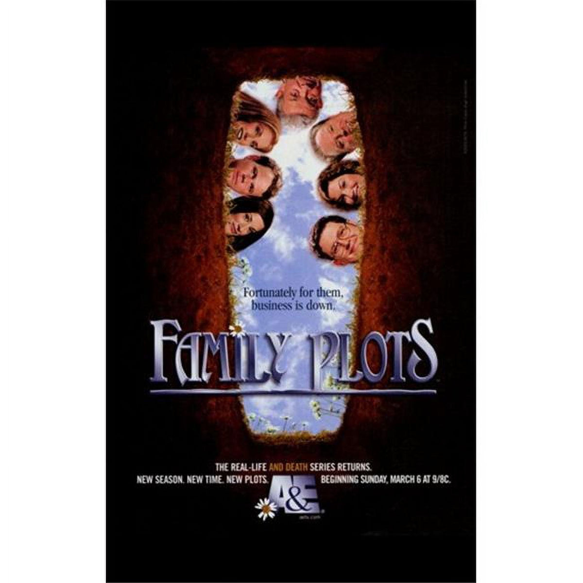 Family Plots Movie Poster 11x17 print for film enthusiasts