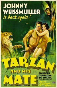 Tarzan and His Mate 1934 Movie Poster Masterprint 11x17