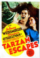 Tarzan Escapes Movie Masterprint Poster - Adventure Film Art