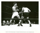 World in My Corner Movie Poster 8x10 Print