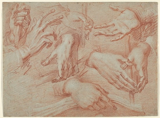 Hands Study for a Reclining St. Francis Art Print by Daniele Crespi, 8x10