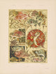 Das Thier in der Decorativen Kunst Pl.08 print by Anton Seder, decorative art poster.