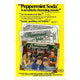Peppermint Soda Movie Poster Print in vibrant colors, 27x40 inches.