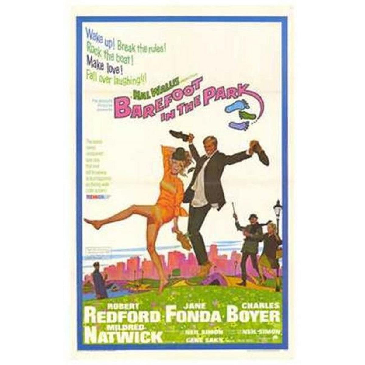Barefoot in the Park Movie Poster 11x17 print