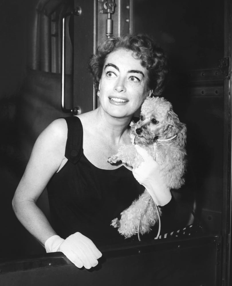 Joan Crawford with her pet poodle Cliquot poster print