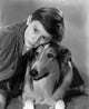 Come Home Lassie (1943) photo print featuring Roddy McDowall.